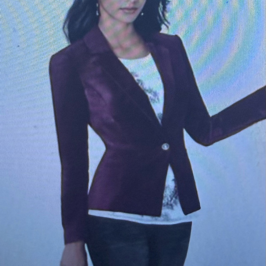 White House Black Market, Women's Velour Plum Single-Button Blazer Jacket Sz 10